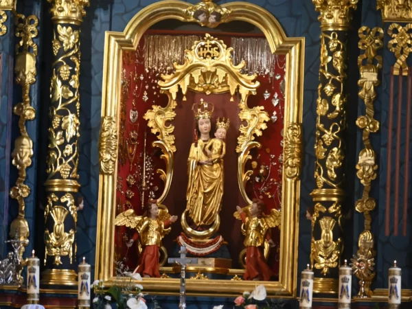 Szafarze Archidiecezji Lubelskiej